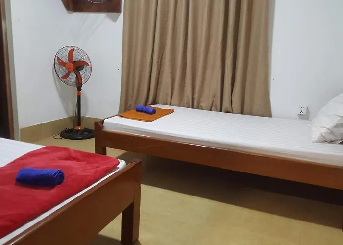 Hostel Alis' House