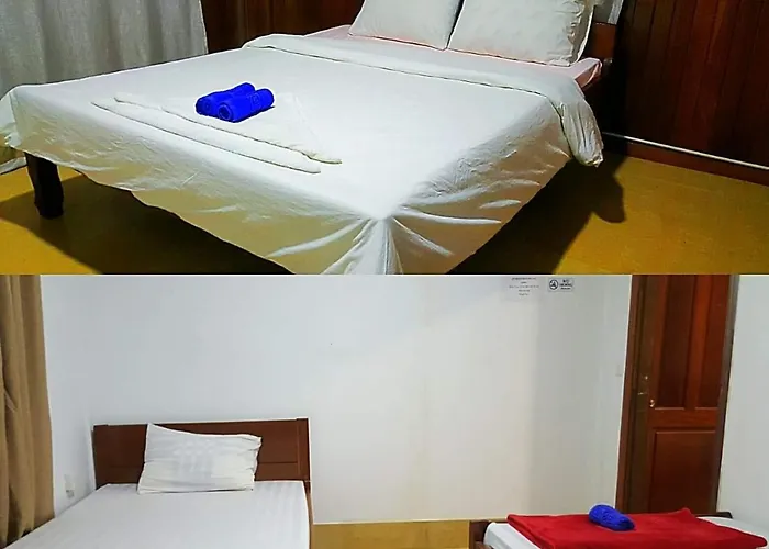 Hostel Alis' House