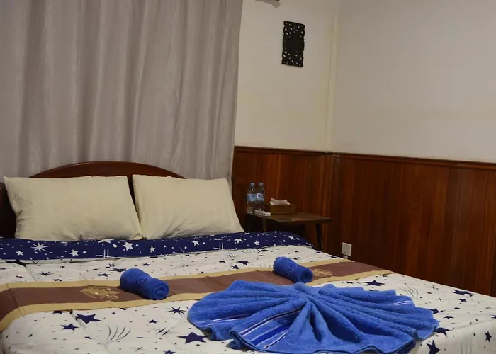 Hostel Alis' House *